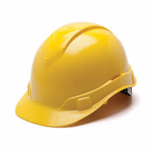 Picture of Hard Hats