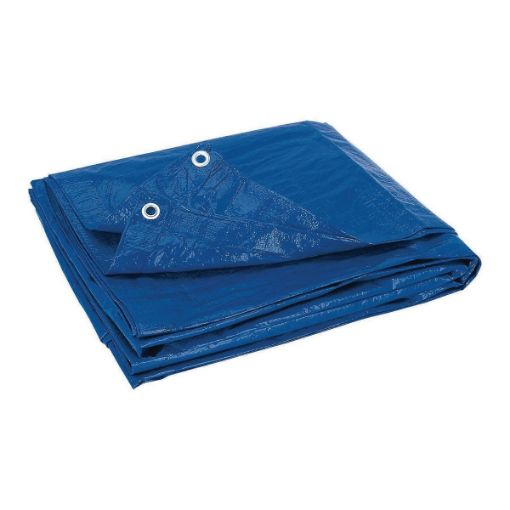 Picture of Blue Tarp 8 x 10