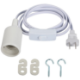 Show details for Chinese Lantern Socket Picture of Chinese Lantern Socket