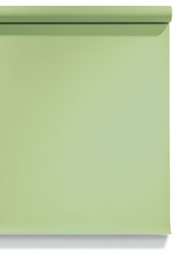 Picture of Seamless Paper - 9’ x 36’ Superior #13 Tropical Green