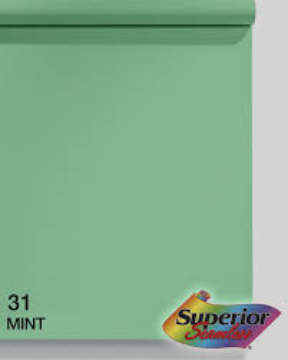 Show details for Seamless Paper - 9’ x 36’ Superior #31 Mint Green Picture of Seamless Paper - 9’ x 36’ Superior #31 Mint Green