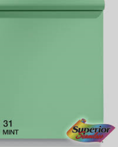 Picture of Seamless Paper - 9’ x 36’ Superior #31 Mint Green