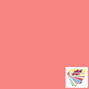 Show details for Gel Sheet - Rosco e-Colour/Lee - 107 Light Rose Picture of Gel Sheet - Rosco e-Colour/Lee - 107 Light Rose