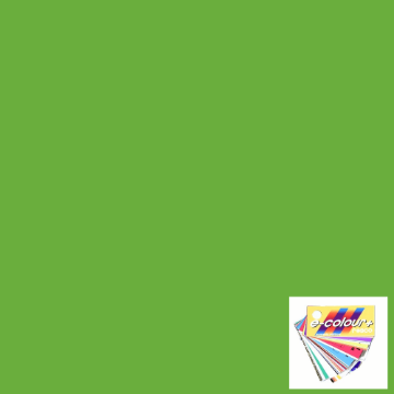 Show details for Gel Sheet - Rosco e-Colour/Lee - 121 Leaf Green Picture of Gel Sheet - Rosco e-Colour/Lee - 121 Leaf Green