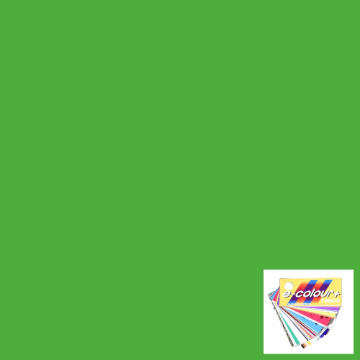 Show details for Gel Sheet - Rosco e-Colour/Lee - 122 Fern Green Picture of Gel Sheet - Rosco e-Colour/Lee - 122 Fern Green