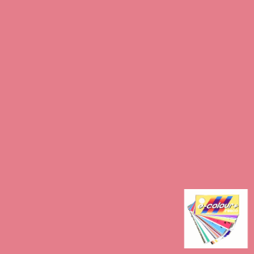 Show details for Gel Sheet - Rosco e-Colour/Lee - 127 Smokey Pink Picture of Gel Sheet - Rosco e-Colour/Lee - 127 Smokey Pink